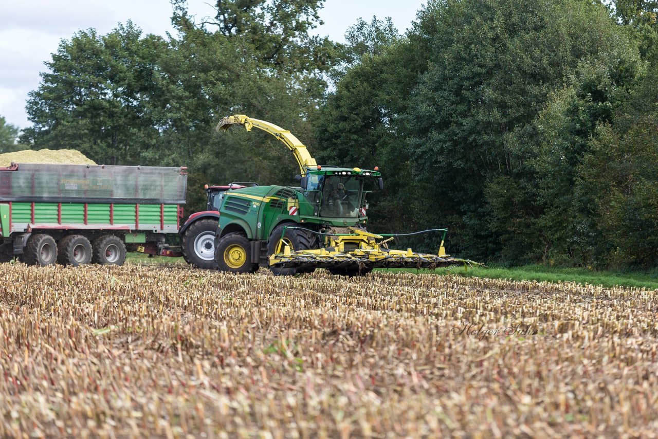 Bild 143 - Maisernte